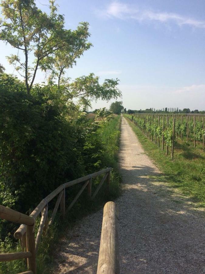 Villa Paolo San Donà di Piave Exterior foto